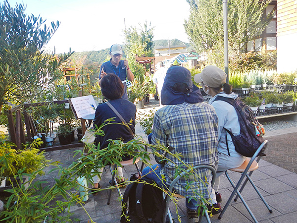 バラの植え付け方法