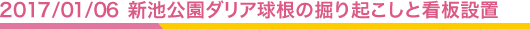 2017.1.6 新池公園ダリア球根の掘り起こしと看板設置