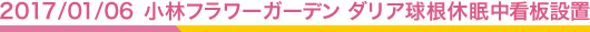 2017.1.6 小林フラワーガーデン ダリア球根休眠中看板設置