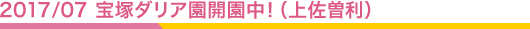 2017/07 宝塚ダリア園開園中!(上佐曽利)