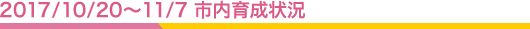 2017/10/20〜11/7市内育成状況